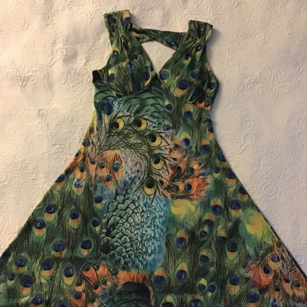 Peacock Swing Dress - Picture 3 of 6